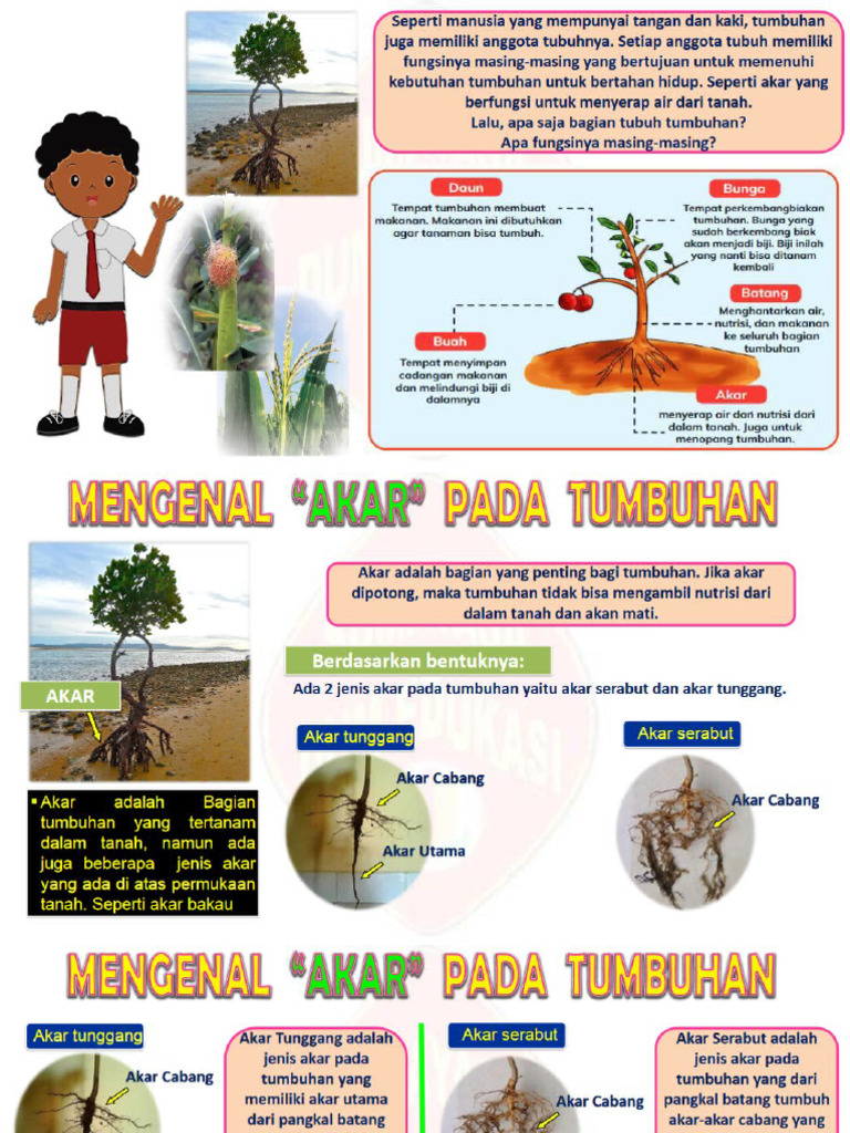Ipas Bagian Tumbuhan | PDF