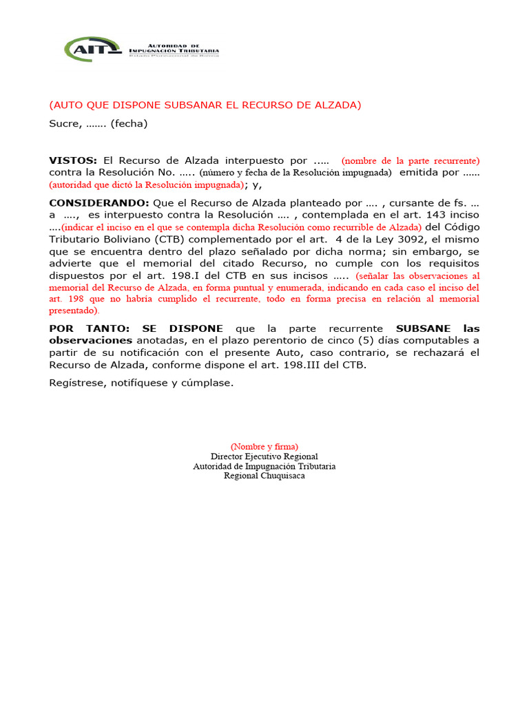 Auto para subsanar Recurso de Alzada | PDF