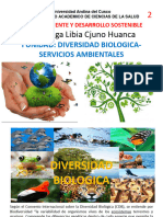 Medio Ambiente y DS (2) Diversidad Biologica-Servicios