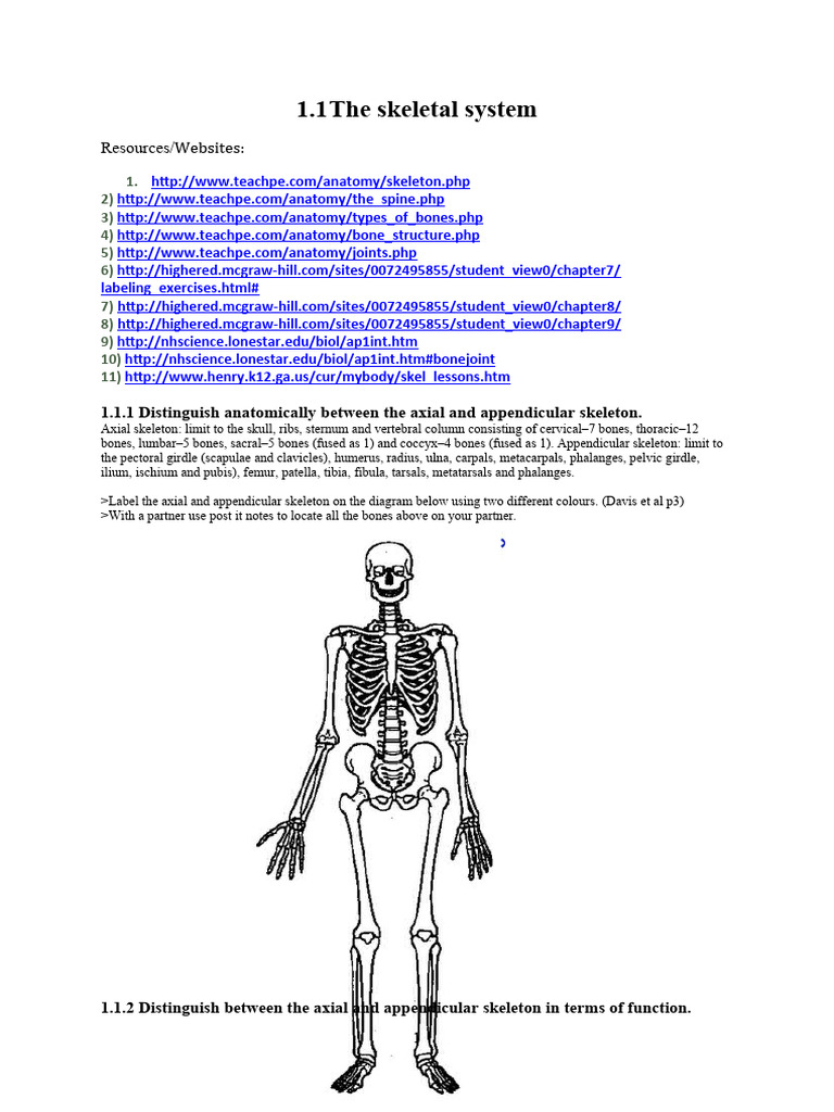 1 1 Skeletal Student Booklet Pdf Skeleton Anatomical Terms Of