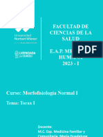Clase 17 Morfo - Lupe - Final