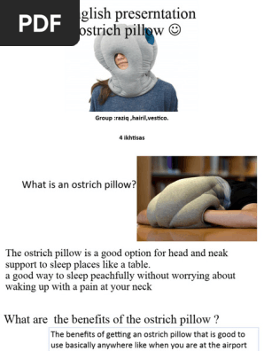 English Preserntation Ostrich Pillow