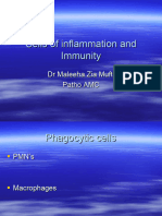 Cellsofnflammationand Immunity