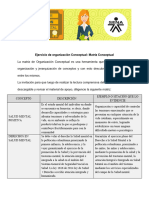 Matriz Conceptual AA1