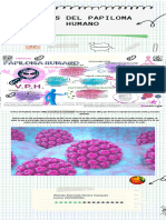 Virus Del Papiloma Humano: ¡Resumen!