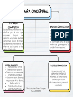 Mapa Conceptual Grampositivo y Negativo Lic Simrry