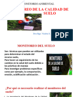 PP-MONITOREO AMBIENTAL - Suelo 3 MONITOEREO DE CALIDAD DE SUELO