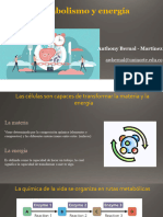 Celula - 5-Metabolismo y Energía