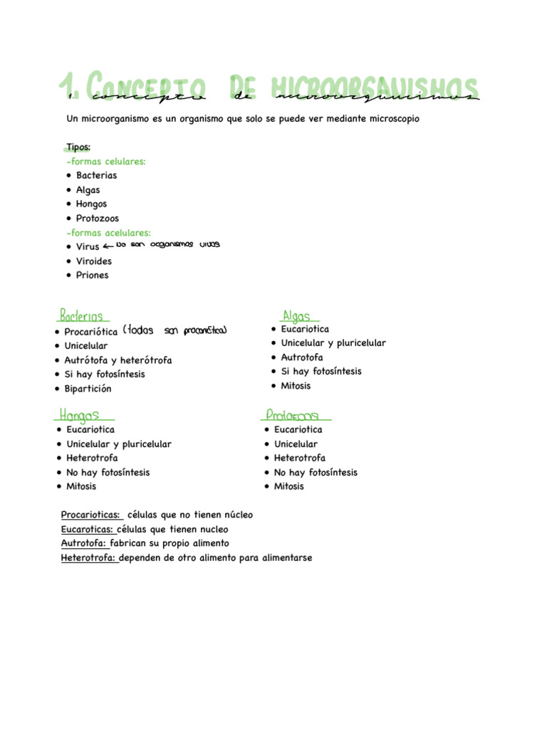 Microorganismos: Tipos y Enfermedades | PDF | Virus | Las bacterias