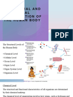 2 Structural and Functional Organization, Necessary Life Functions & Homeostasis