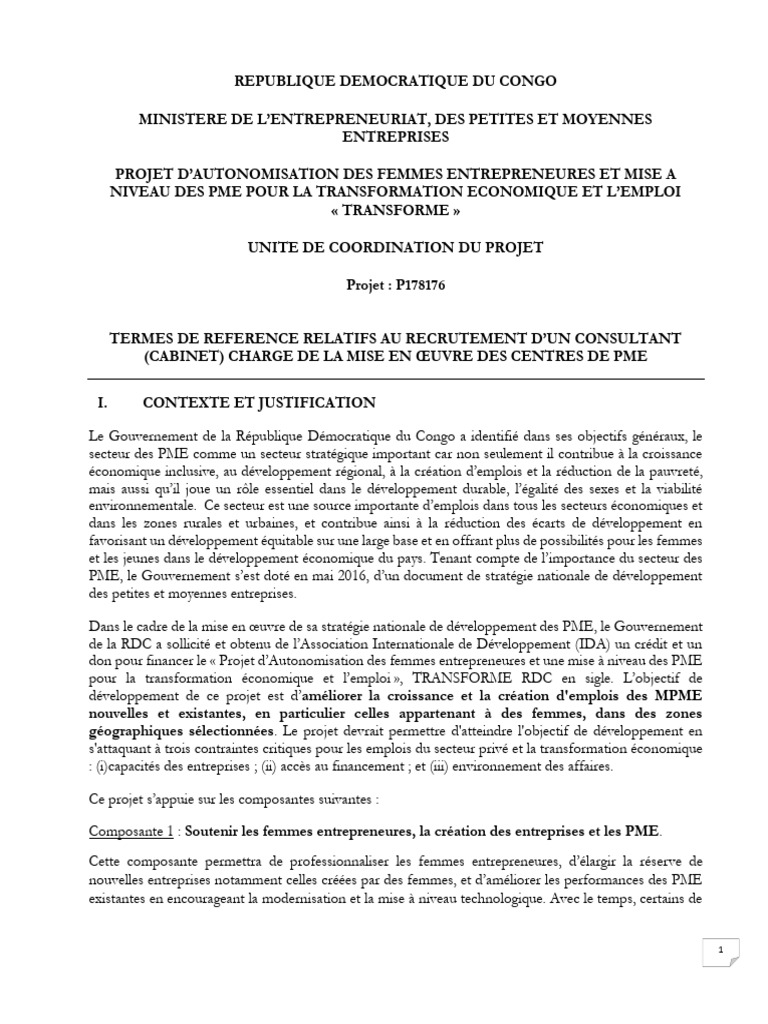 Autonomisation des Femmes et PME en RDC | PDF | Petite ou moyenne ...