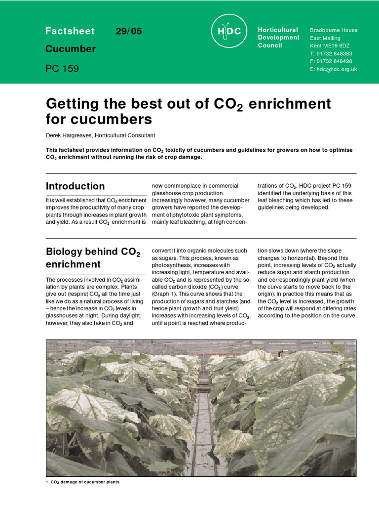 Getting The Best Out of CO2 Enrichment For Cucumbers PDF Carbon