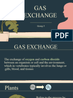 GB2 Gasexchange G5