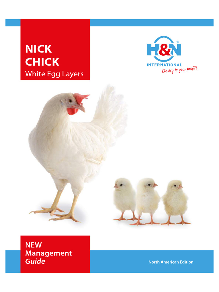 H&N Nick Chick Layer Management Guide | PDF | Chicken | Disinfectant