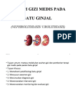 PT 9.Tgm Pada Batu Ginjal