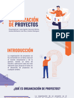 Organizacion de Proyectos, Presentacion