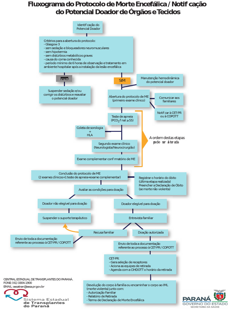 Fluxograma do Protocolo de Morte Encefálica | PDF | Neurociência ...