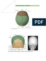 Anatomia Aplicada A Odontologia