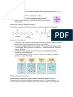 Trimestral Bio