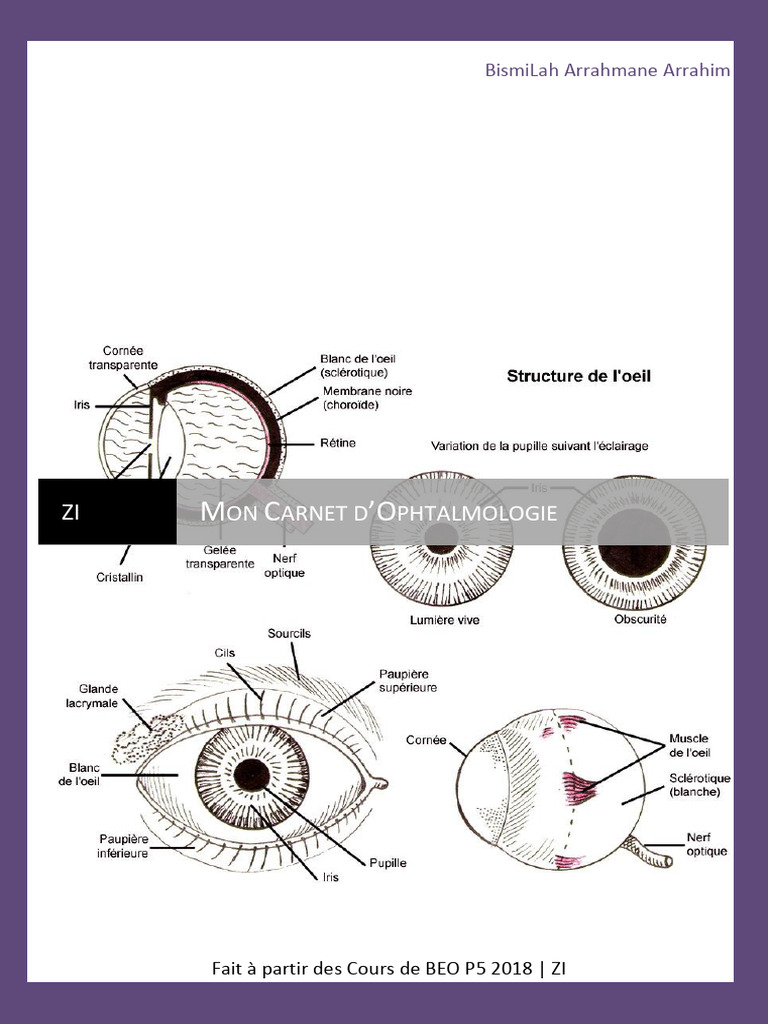 Mon Ophtalmo PDF Vision — free download