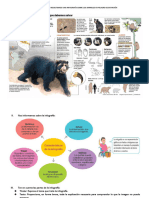 Ficha de Aplicación Escribimos Una Infografia Parte 1