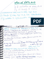 Beta Oxidation and Lipogenesis (Unit 2)