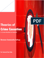 PRELIM Theories of Crime Causation