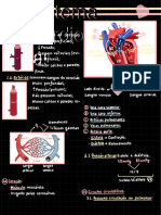 Sistema Cardiovascular