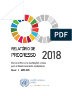 Brasil Relatorio Progresso 2018