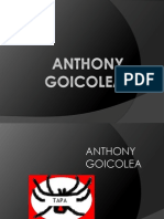 Anthony Goicolea