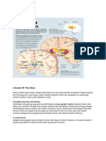 4.NUCLEI OF THE BRAIN (Kalin)