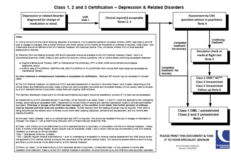 Depression Flow Chart | Download Free PDF | Selective Serotonin ...