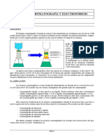 Cromatografía Electroforesis