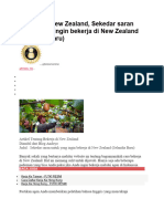 Bekerja Di New Zealand
