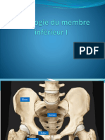 Ostéologie Du MBR Inf I