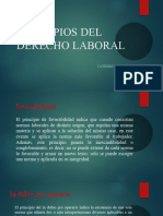 Principios Del Derecho Laboral Individual