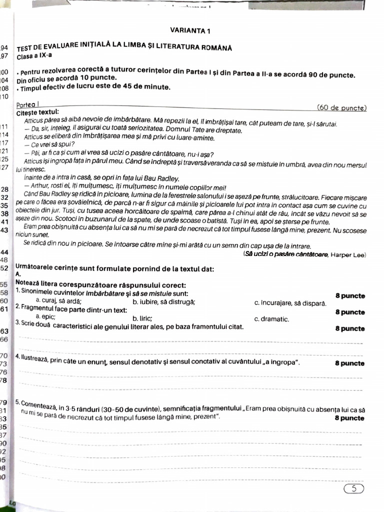 Test de Evaluare Inițială La Limba Și Literarura Română | PDF
