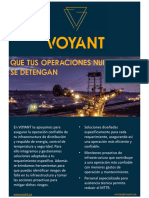 2021 Brochure Voyant