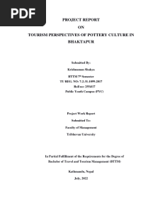 Final Project Report