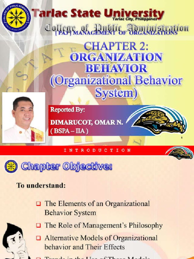 Organizational Behavior System Pdf