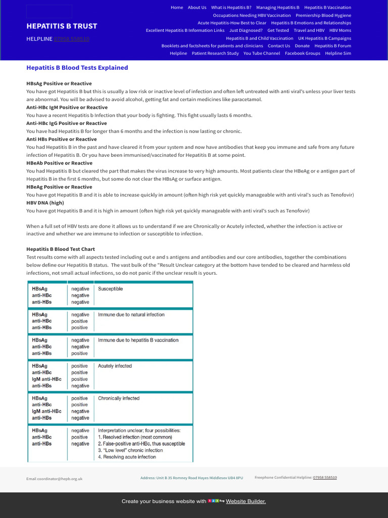 Hepatitis B Blood Tests Explained | PDF | Hepatitis B | Hepatitis
