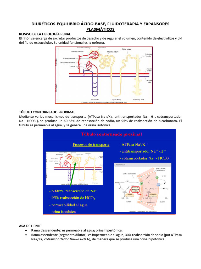 tema-17-gulag-free-pdf-sodio-orina