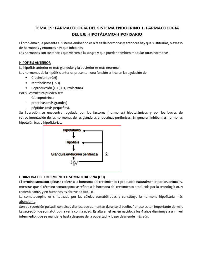 tema-20-gulag-free-pdf-hormona-de-crecimiento-gonadotropina