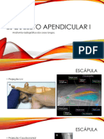 Esqueleto Apendicular I Anatomia Radiográfica