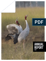 WWF Annual Report 2022