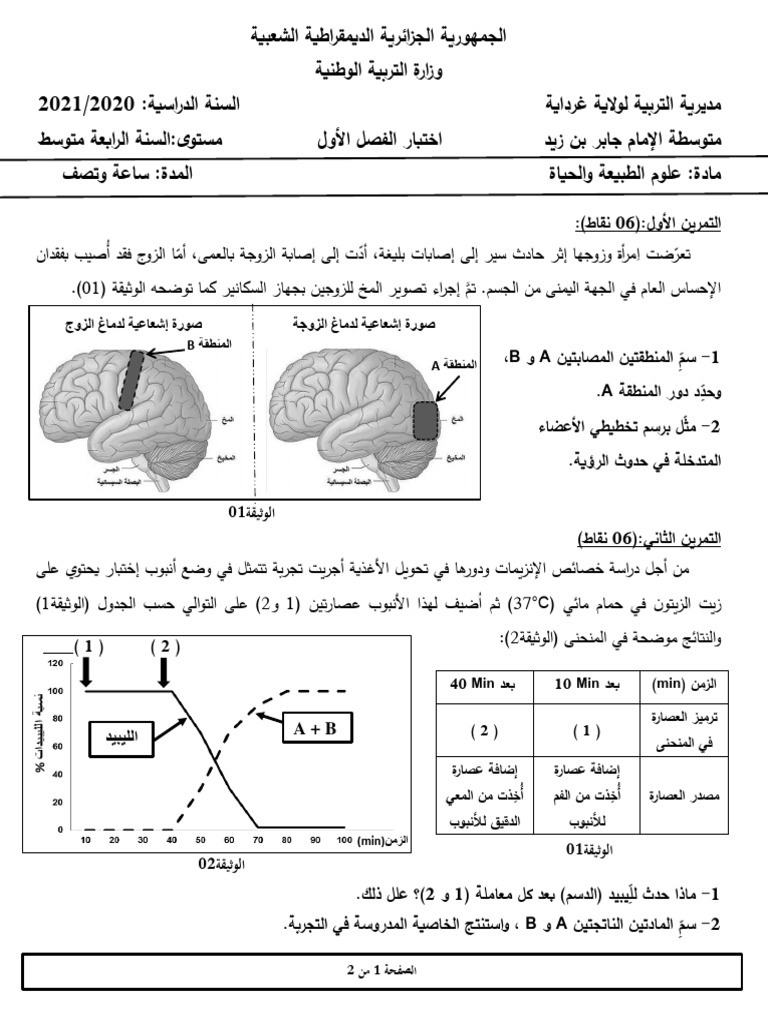Dzexams 4am Sciences 1986966 | PDF