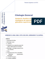 Ud 5 Citología General