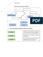 Actividades Biología