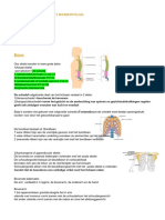 Anatomie