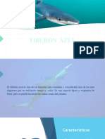 Tiburón Azul